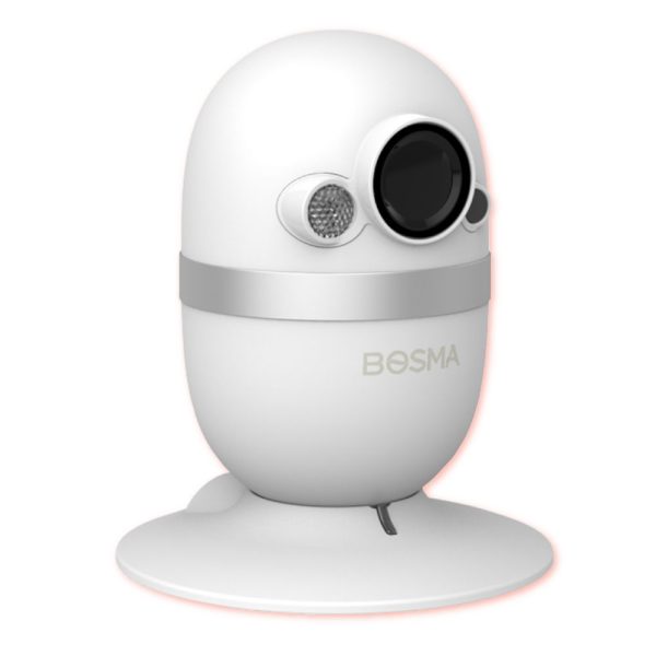 Bosma CapsuleCam IP Camera