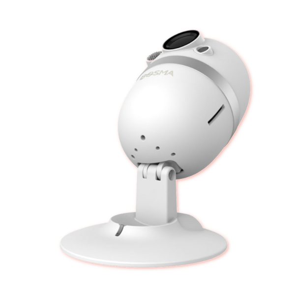 Bosma CapsuleCam angle