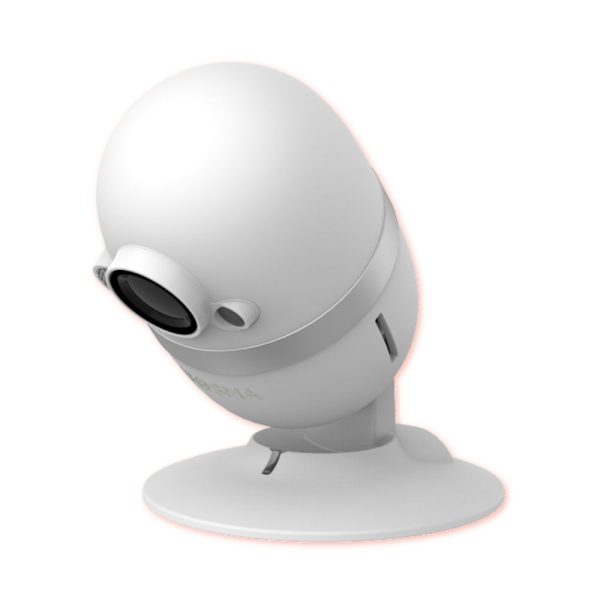 Bosma CapsuleCam standaard